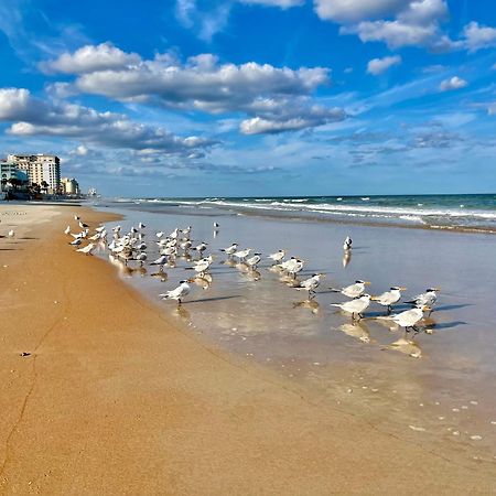 Sunset Studio Daytona Beachfront מראה חיצוני תמונה